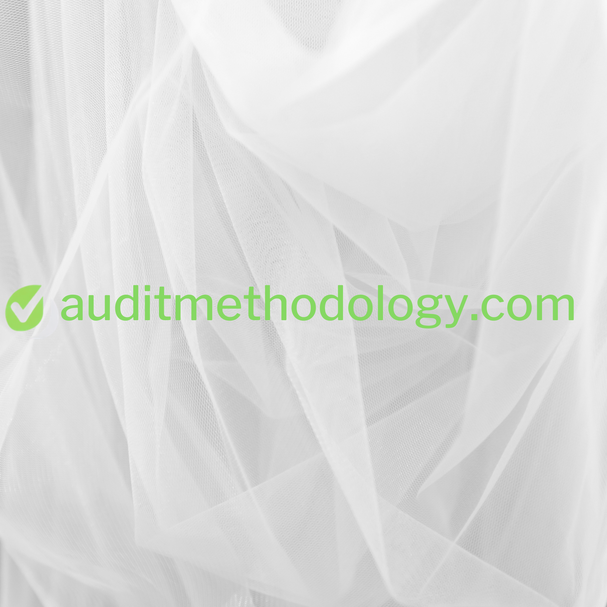 auditmethodology.com logo